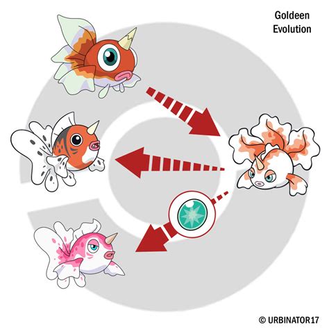 evolution of goldeen